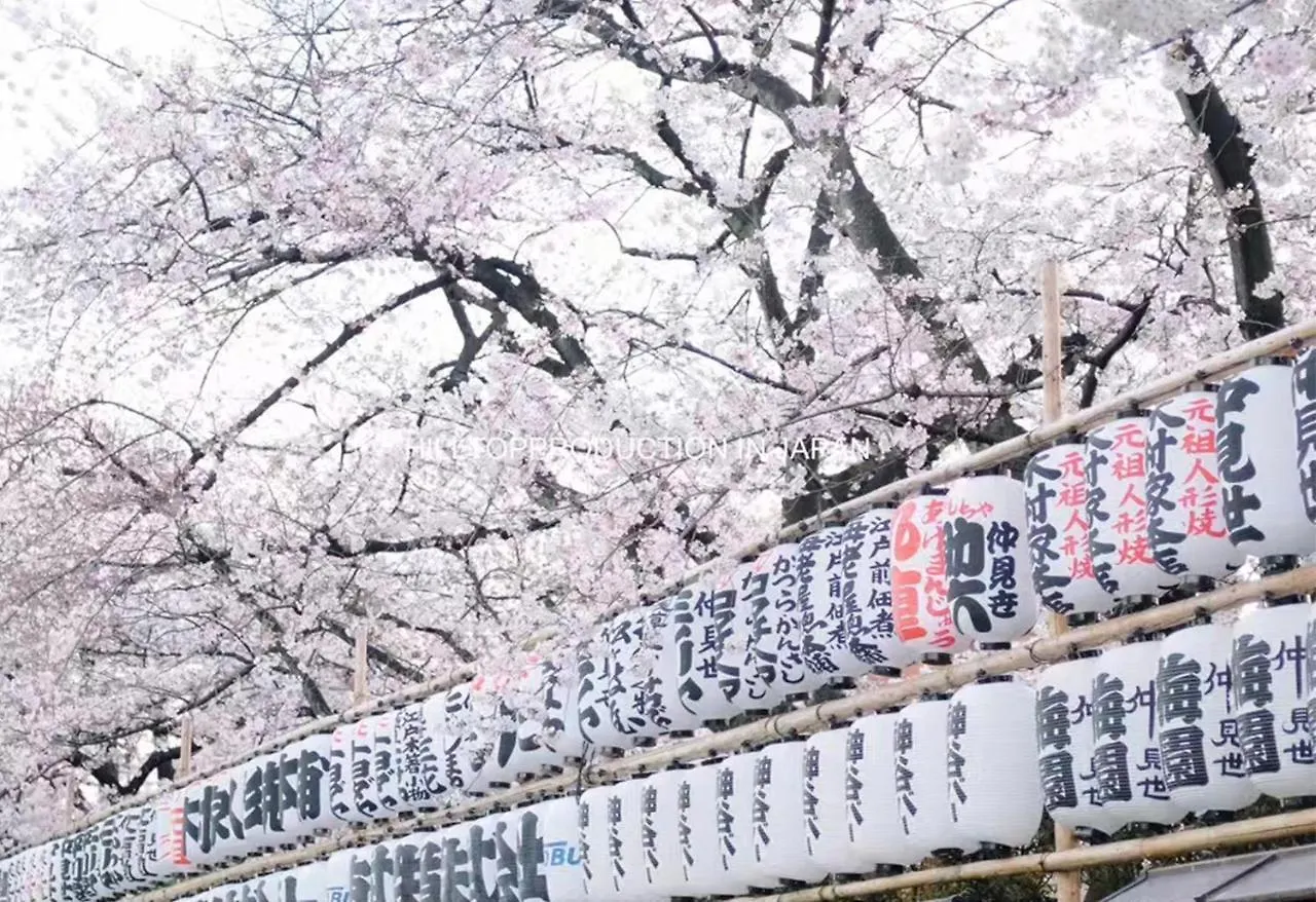 Ustay Kitakoiwa Tokio