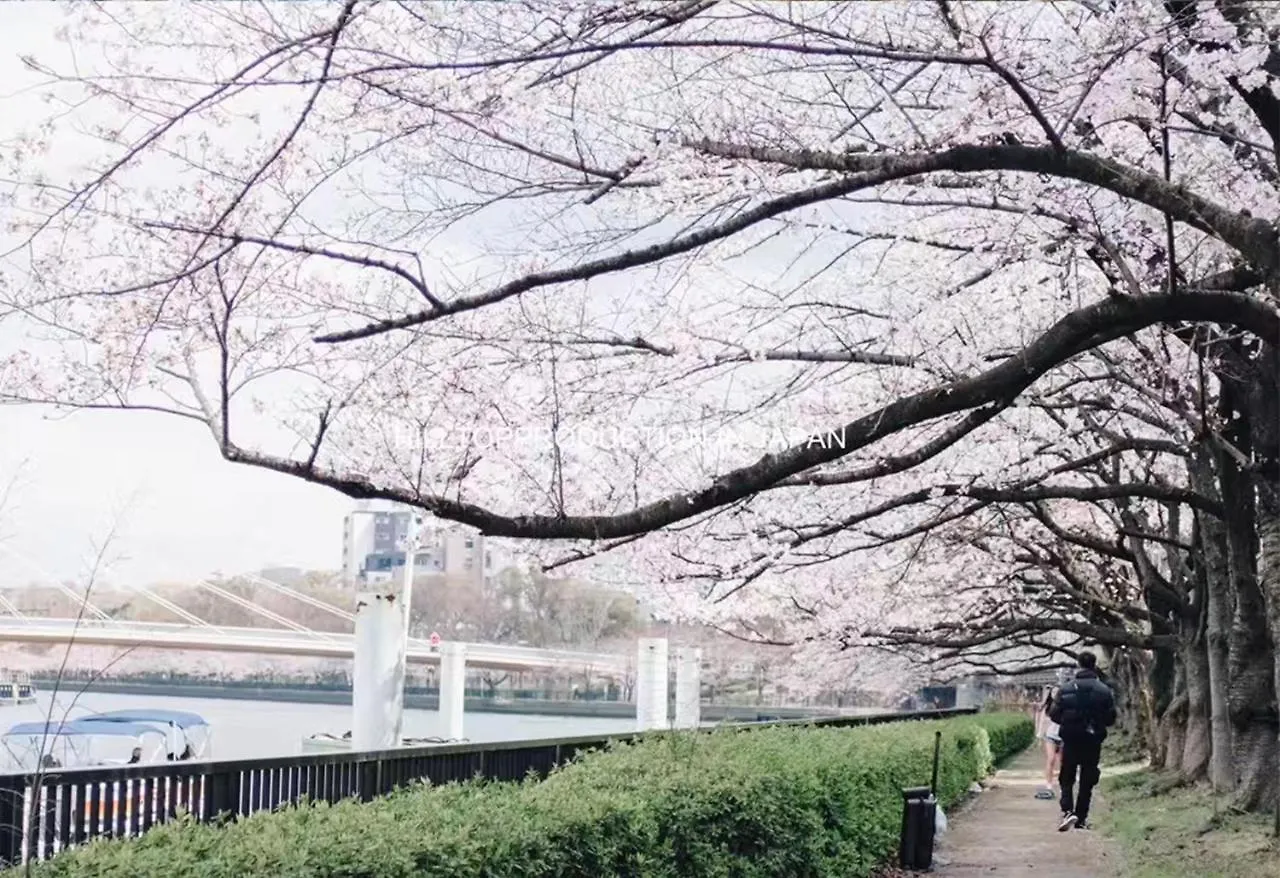 Ustay Kitakoiwa Tokio Japón