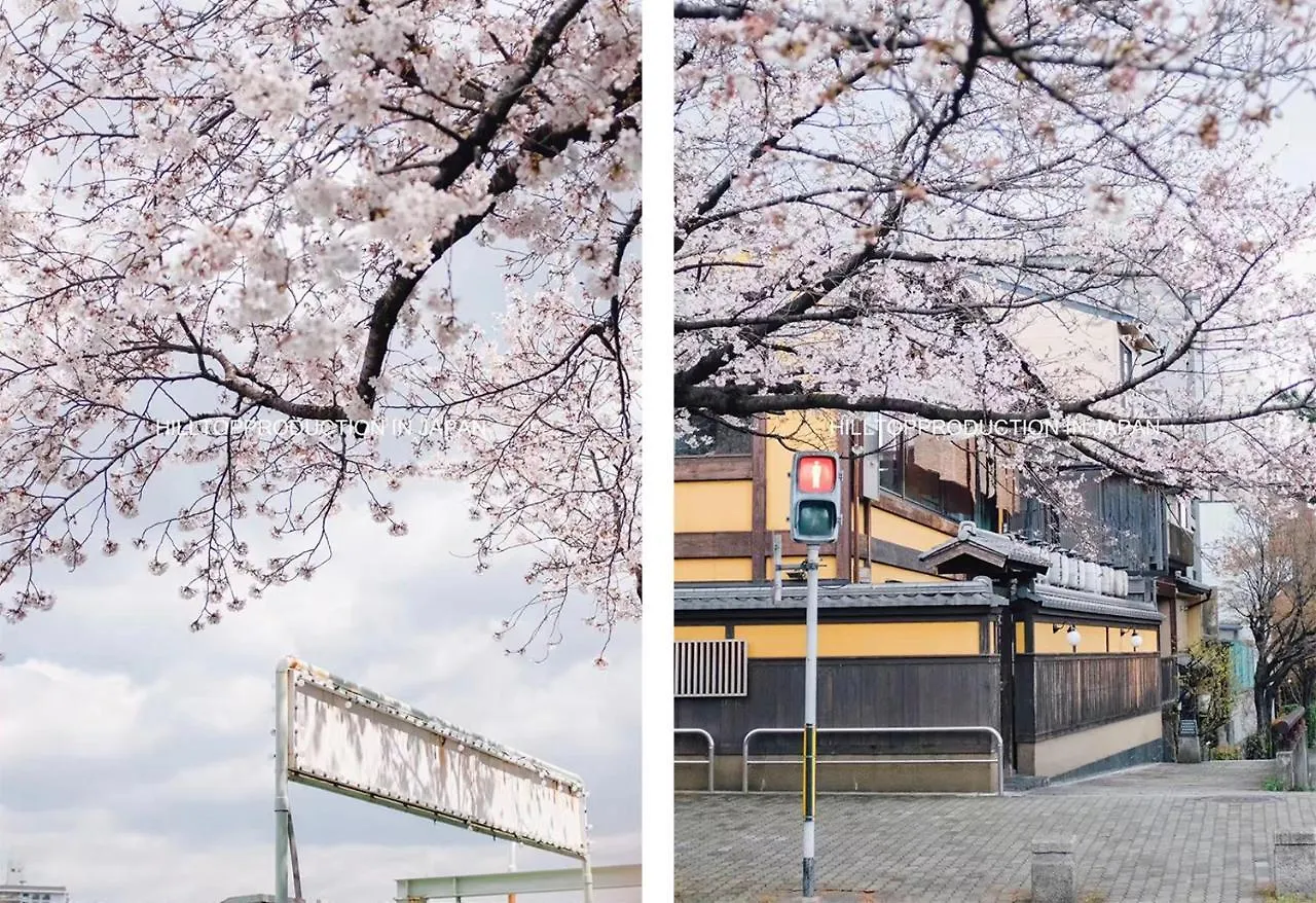 Ustay Kitakoiwa 東京都 0*,  日本